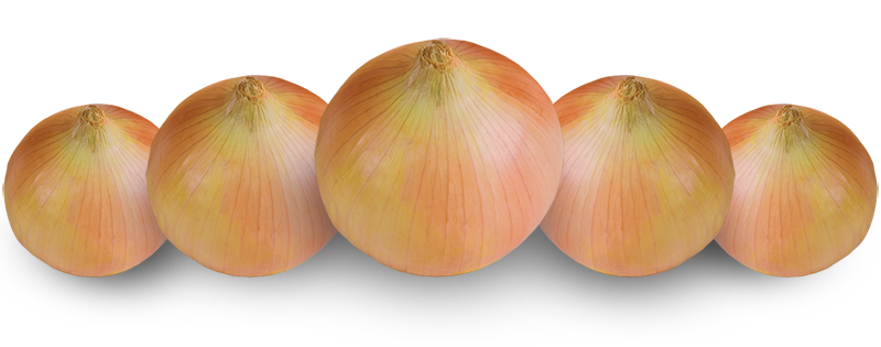 Swetie Sweet Onions